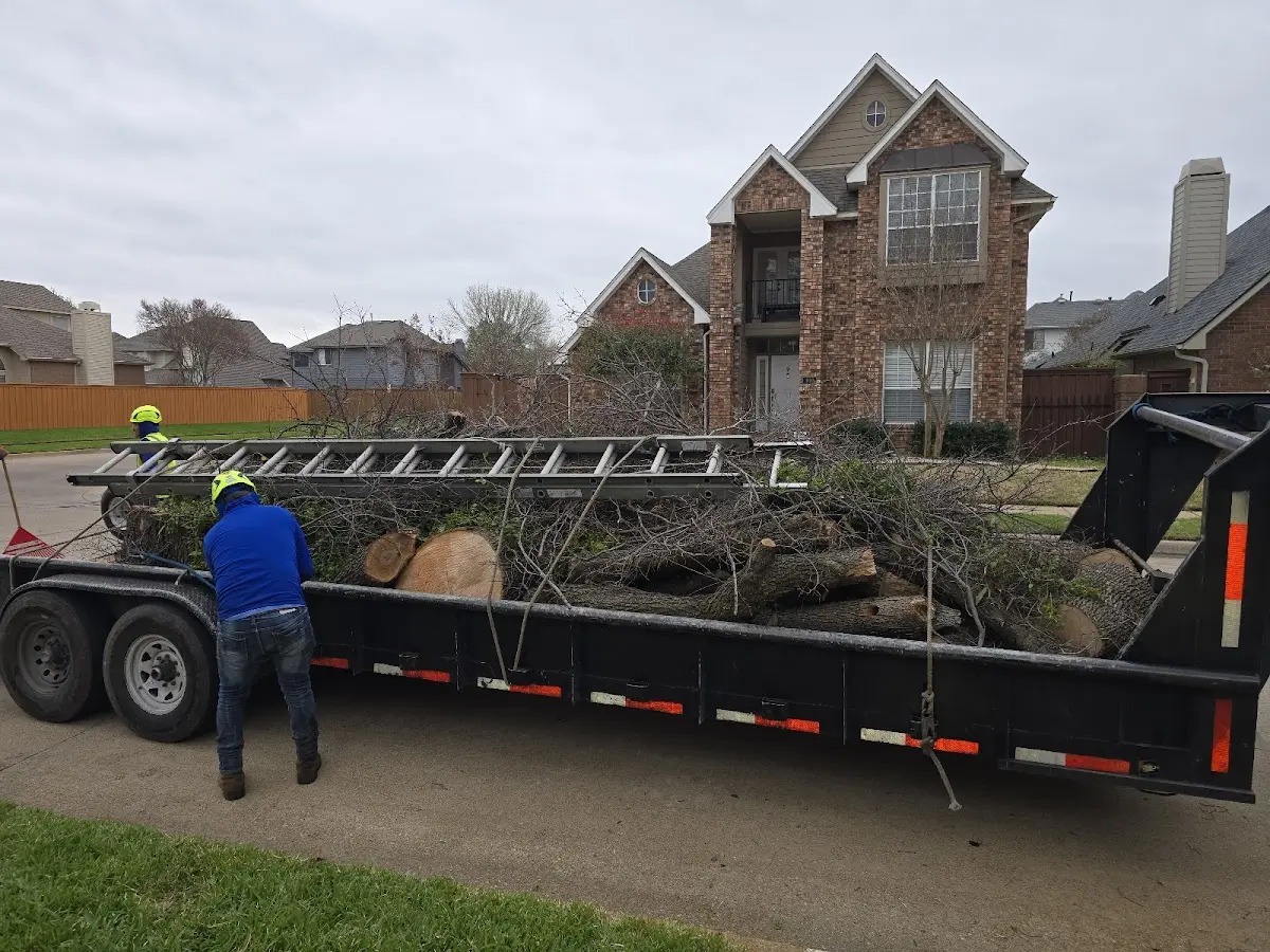 Expert Tree Fertilization with proper safety equipment in Liberty Mills
